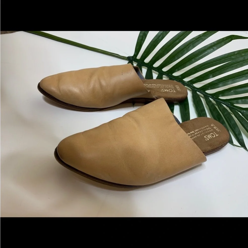 Tom’s Jetta slip on mules. - Picture 3 of 5